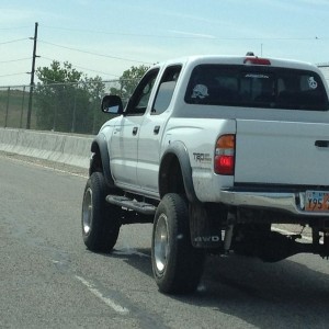 Spotted in Ogden