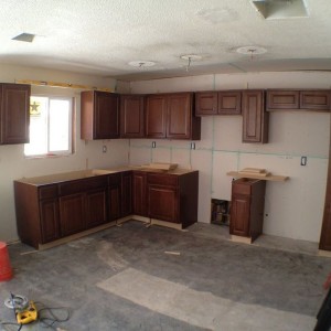 Kitchen that I am remodeling is coming together!