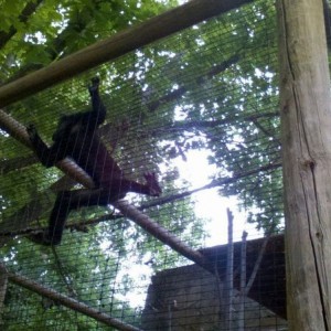 I'm at the zoo... and acting like a 5 year old
