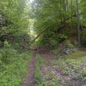 Abandoned rail line.