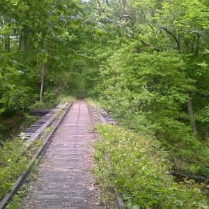 Abandoned Trestle Bridge over Pennypack stream