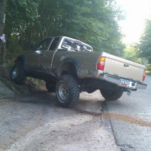 Mall crawling
