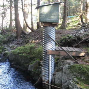 Weird Box at hidden lake