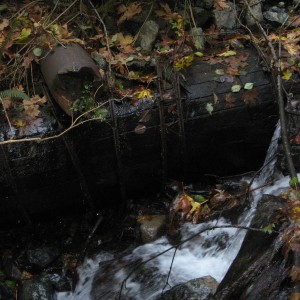 Hollow Tube in Creek