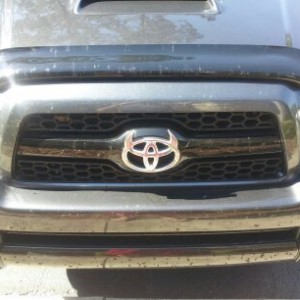 Horns Emblem