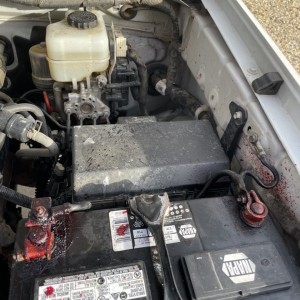 AE9008F5-F3CF-4B80-982B-139D5F66D791