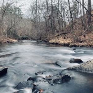 Talladega NF