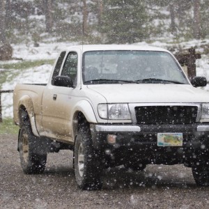 snowy_toy