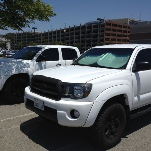 Twins!