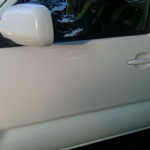 Trees: 12 Toyota paint: 0 Compound time one of these days.