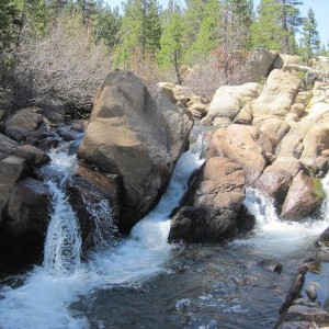 IMG_10663