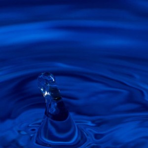 IMG_1793_1