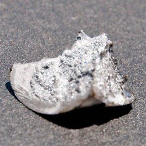 DSC3747