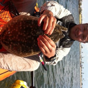 Flounder_3