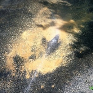 Had to clean the mud off the drive way, from my truck