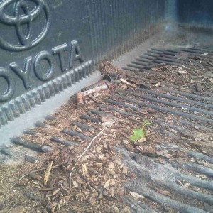 Tundy is eco-friendly