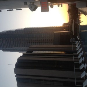 Poolside at the standard