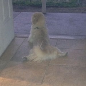 Just coolin mah d!k off, dont mind me....