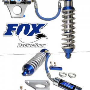 fox1