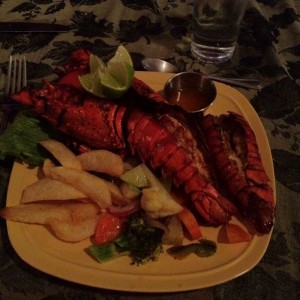 Fresh lobster for dinner