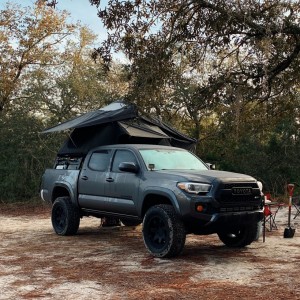 Ocala National Forest