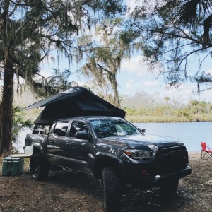 Salt Springs