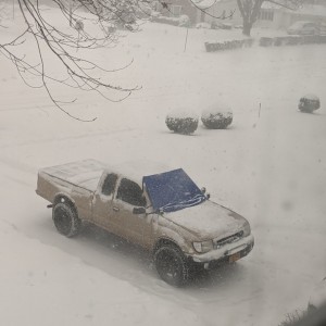 FrostGuard