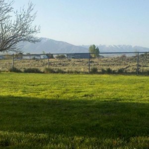 Lawn thread
