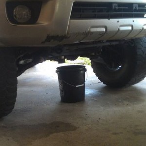 5 gallon bucket. Who else can do that? Get your pic.