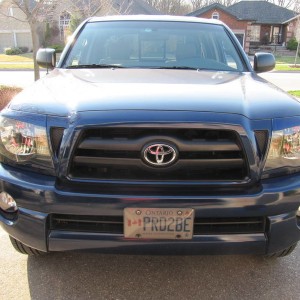 New eyelids installed