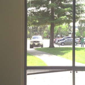 Bored at work, my Taco is staring at me, impatiently waiting for me to get 