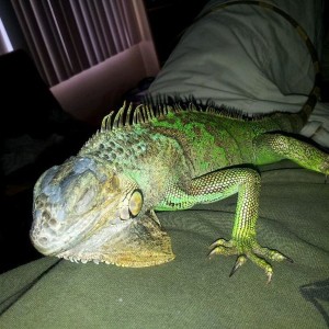 New phone test