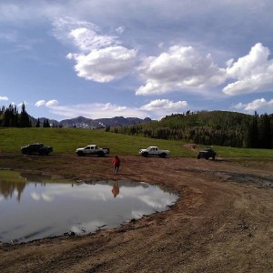 WP_000241