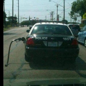 Austin PD WTF