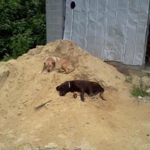 the hard life.