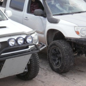 Trifecta