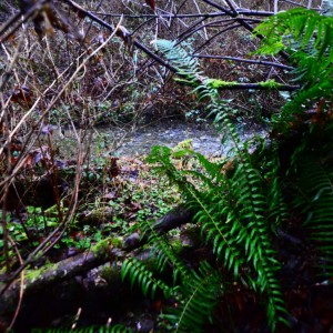 DSC_3828-1280x848