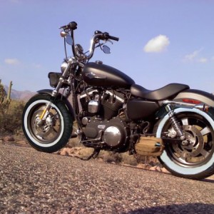 pinal_final_2