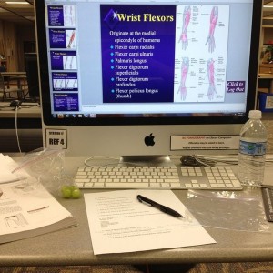 I hate you right now Kinesiology!! Last minute procrastination for exam.