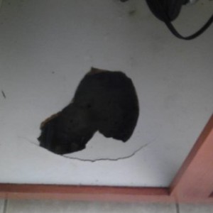 IMAG02849