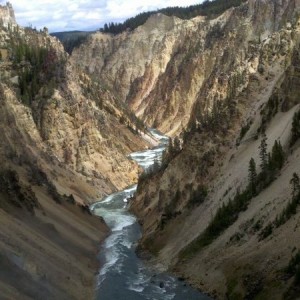 Well... live as of about 4 hours ago. Yellowstone Natl Park