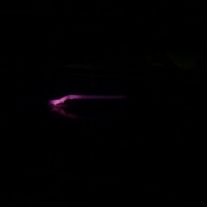 What a better time for the heating element ho out in the stove.... with 2 h