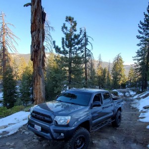 2015 tacoma
