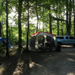 Markham Springs