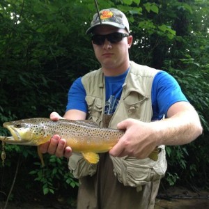 Buddy's 19" brown