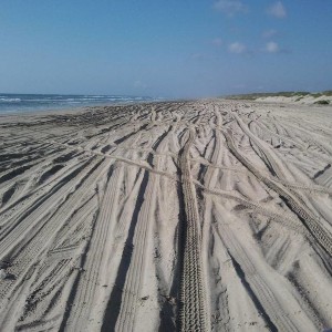 Sept_2011