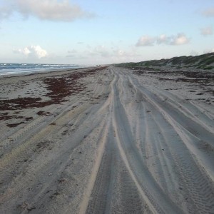 July_2011-1
