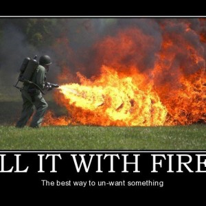 kill_it_with_fire