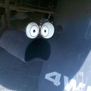 eyes