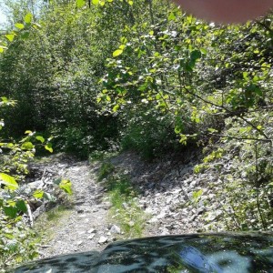 Trail Photos